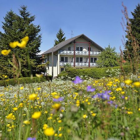 Pension Fohrenberg Ewattingen Room photo